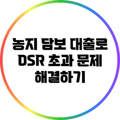 농지 담보 대출로 DSR 초과 문제 해결하기