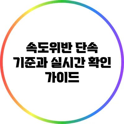 속도위반 단속 기준과 실시간 확인 가이드