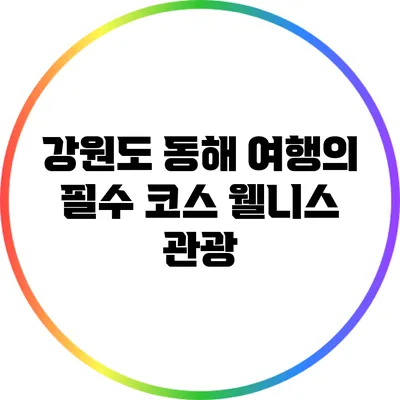 강원도 동해 여행의 필수 코스: 웰니스 관광