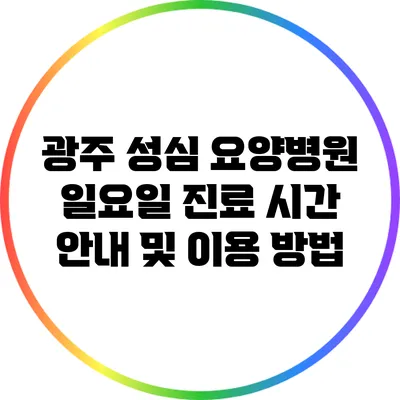 광주 성심 요양병원 일요일 진료 시간 안내 및 이용 방법