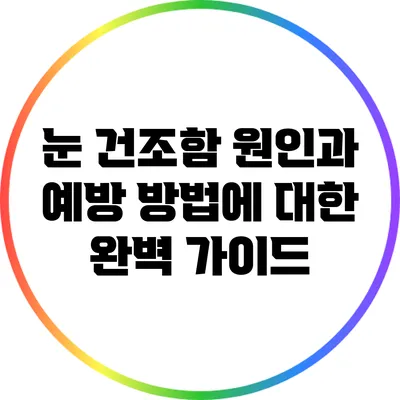 눈 건조함: 원인과 예방 방법에 대한 완벽 가이드