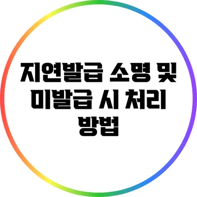 지연발급 소명 및 미발급 시 처리 방법