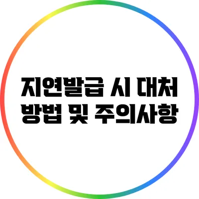 지연발급 시 대처 방법 및 주의사항
