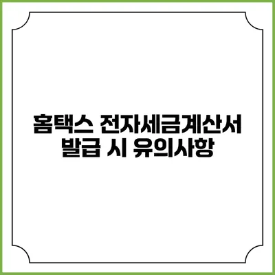 홈택스 전자세금계산서 발급 시 유의사항