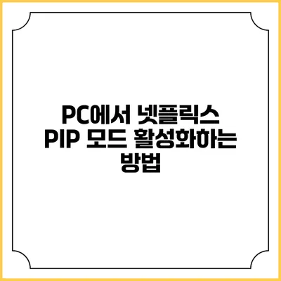 PC에서 넷플릭스 PIP 모드 활성화하는 방법