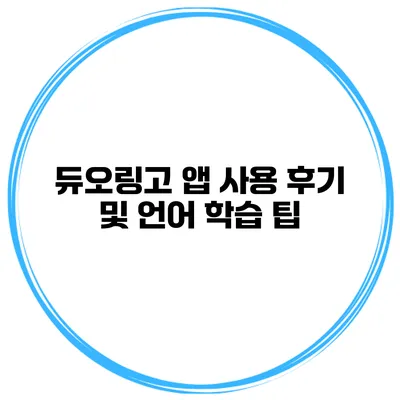 듀오링고 앱 사용 후기 및 언어 학습 팁