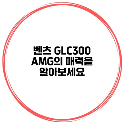 벤츠 GLC300 AMG의 매력을 알아보세요