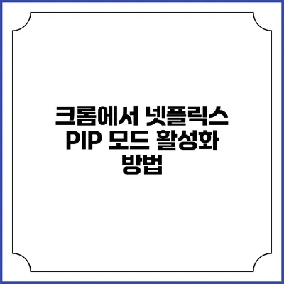 크롬에서 넷플릭스 PIP 모드 활성화 방법