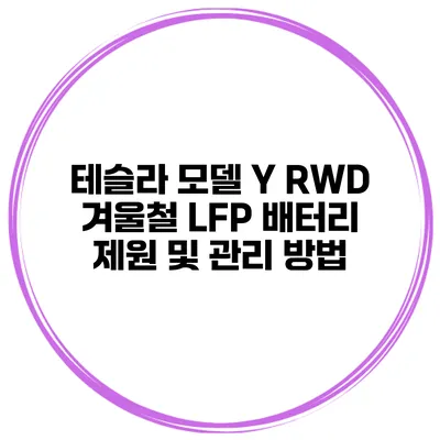 테슬라 모델 Y RWD 겨울철 LFP 배터리 제원 및 관리 방법