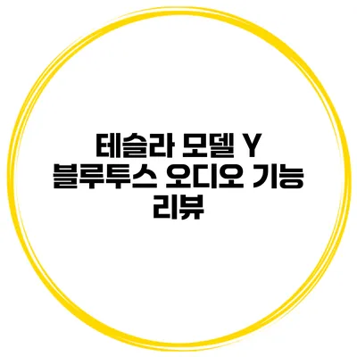 테슬라 모델 Y 블루투스 오디오 기능 리뷰