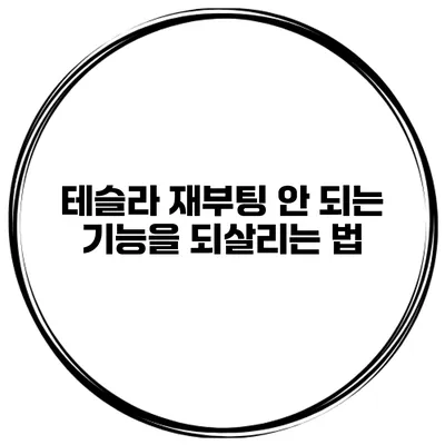 테슬라 재부팅 안 되는 기능을 되살리는 법